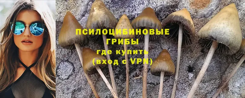 Псилоцибиновые грибы MAGIC MUSHROOMS  что такое   Бодайбо 